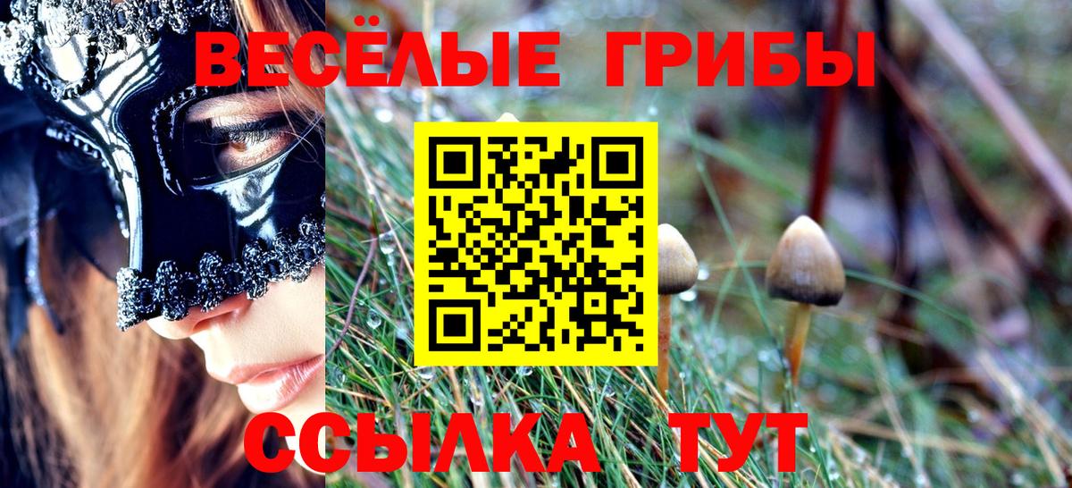 Конопля Сальск