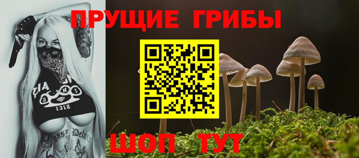 Галлюциногенные грибы Psilocybe  Вход с VPN  Сальск 