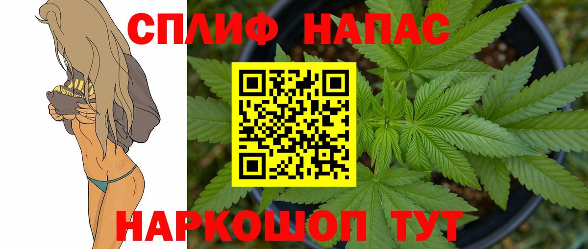 Шишки марихуана конопля Сальск